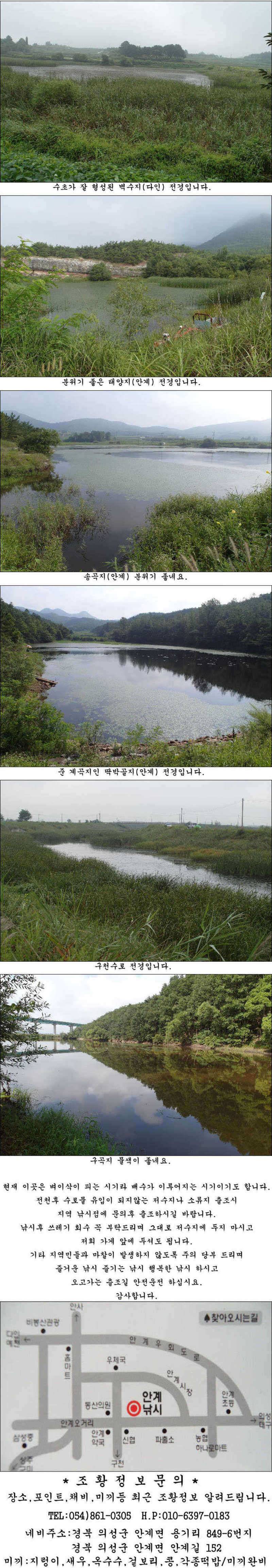 8월 13일 19일까지 조황소식 입니다 (조황조행기 - 특파원조황)