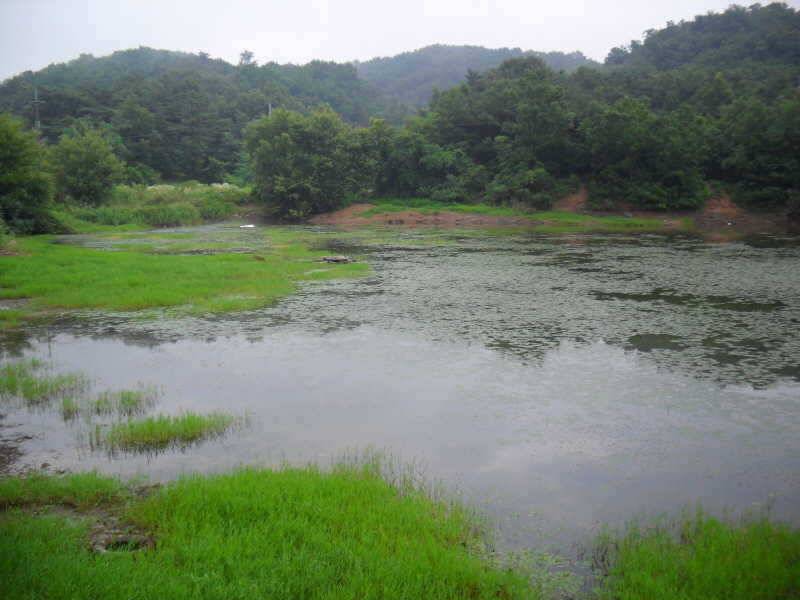저수지 돌아보기 (조황조행기 - 특파원조황)