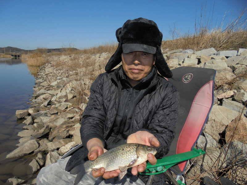 안면도권 및 부남호 조황 (조황조행기 - 특파원조황)