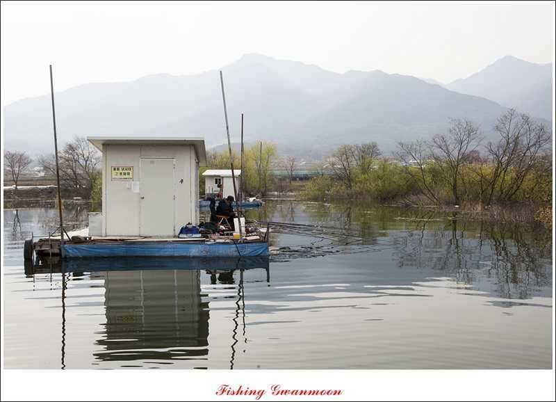 충주권 노지화곡지칠성지 조황 (조황조행기 - 특파원조황)