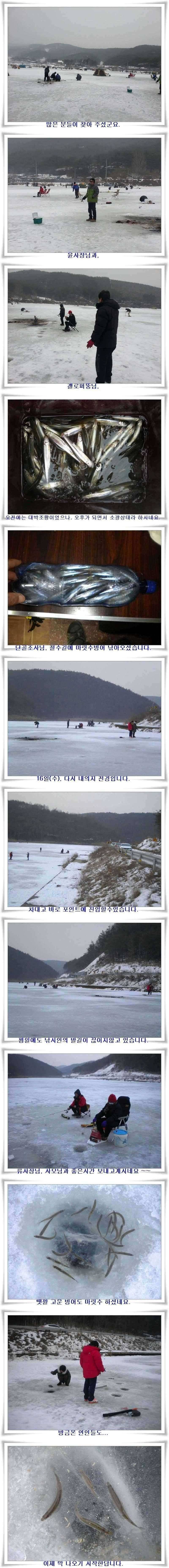 빙어낚시가까운 군위권 빙어낚시터들 (조황조행기 - 특파원조황)