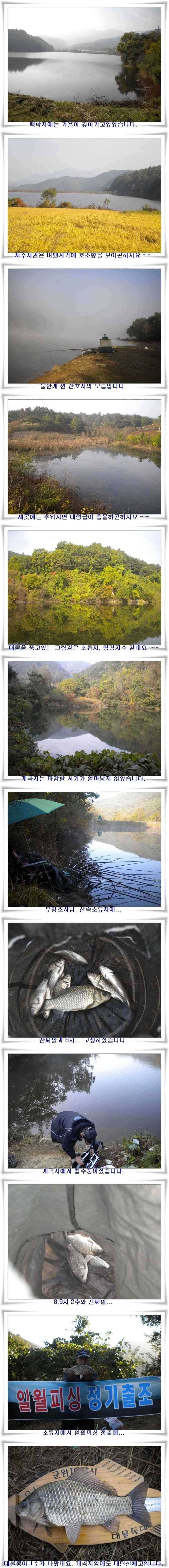 곳곳에서 대물 월척이 (조황조행기 - 특파원조황)