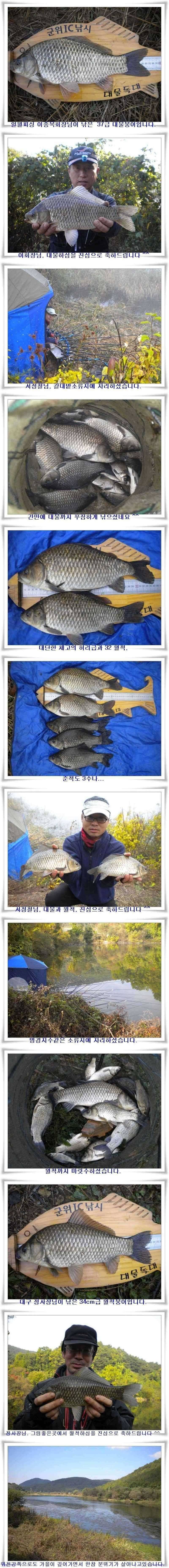 곳곳에서 대물 월척이 (조황조행기 - 특파원조황)