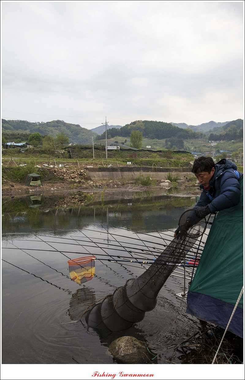 추평지 대물강붕어 대물 (조황조행기 - 특파원조황)