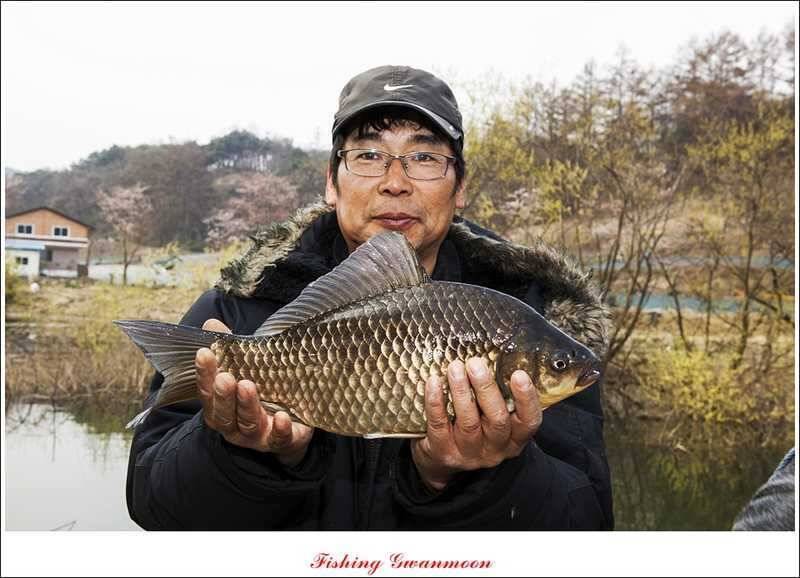 충주권 노지화곡지칠성지 조황 (조황조행기 - 특파원조황)