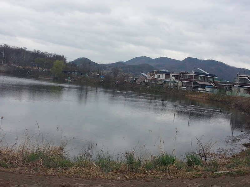 경산권 조황정보 (조황조행기 - 특파원조황)