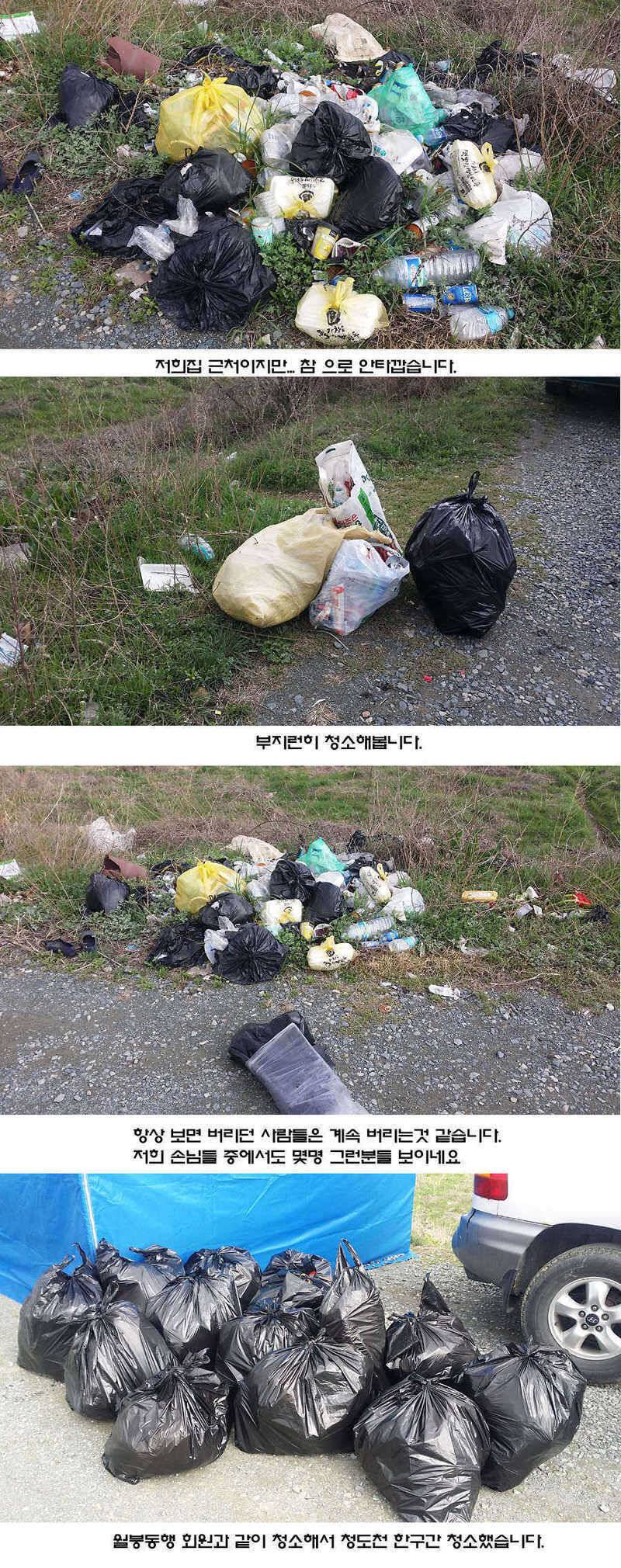 청도권 지난주 조황입니다 (조황조행기 - 특파원조황)