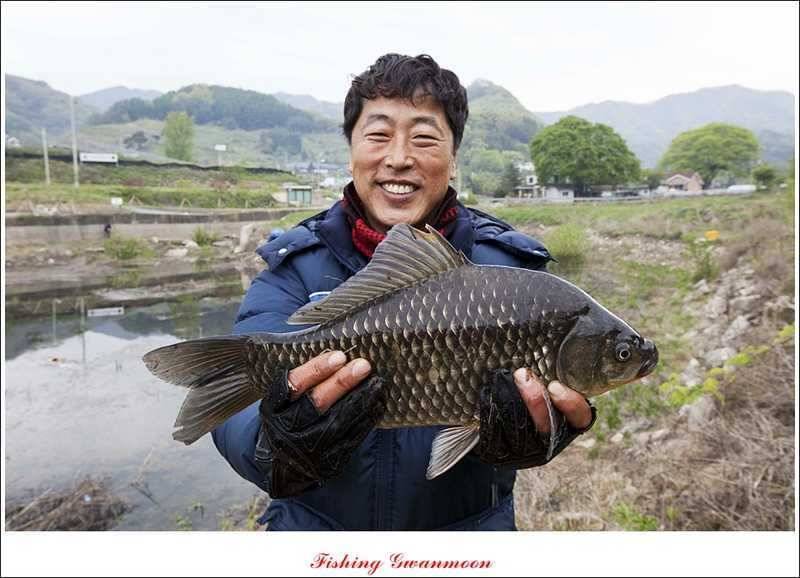 추평지 대물강붕어 대물 (조황조행기 - 특파원조황)