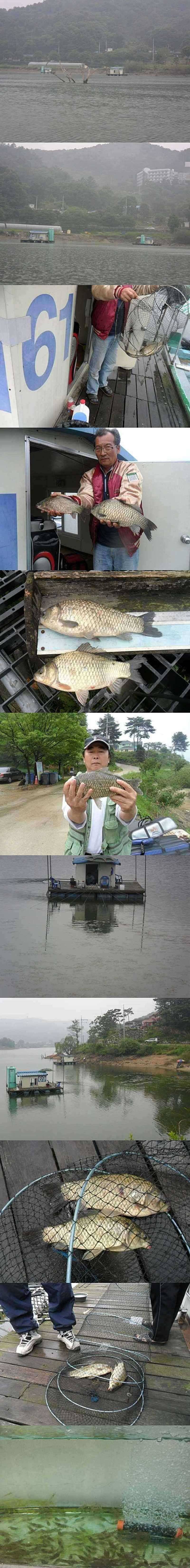 덕산지요즘 조황입니다 (조황조행기 - 특파원조황)