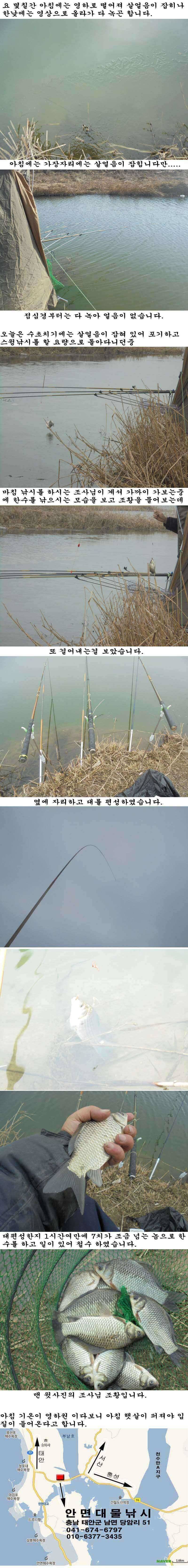129 부남호 물낚시 조황 (조황조행기 - 특파원조황)