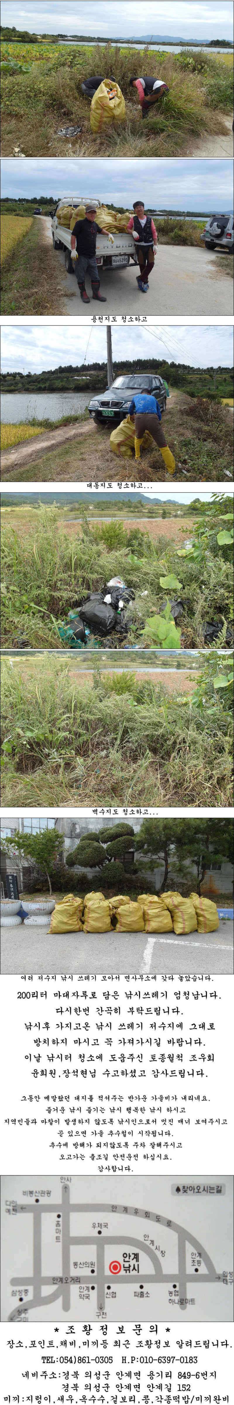 마릿수 재미에 월척들 조황입니다 (조황조행기 - 특파원조황)