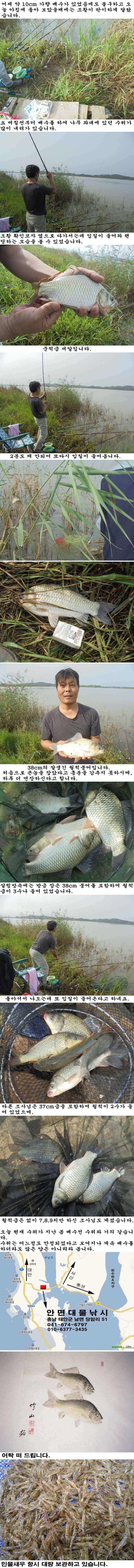 827 부남호 어제 와 오늘 판이하게 다른 조황 (조황조행기 - 특파원조황)