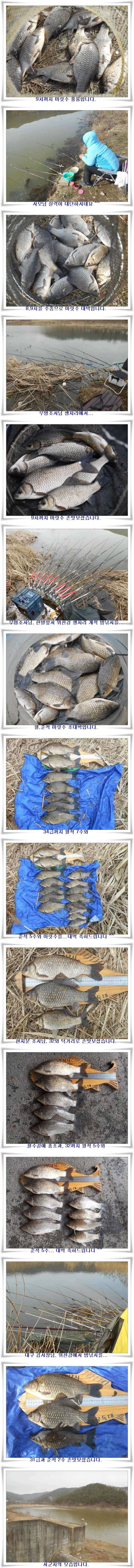 시작부터 대박4짜까지 (조황조행기 - 특파원조황)