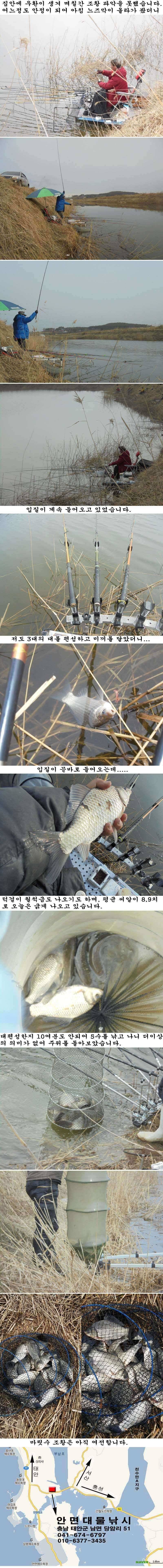 33 부남호 여전한 마릿수 조황 (조황조행기 - 특파원조황)