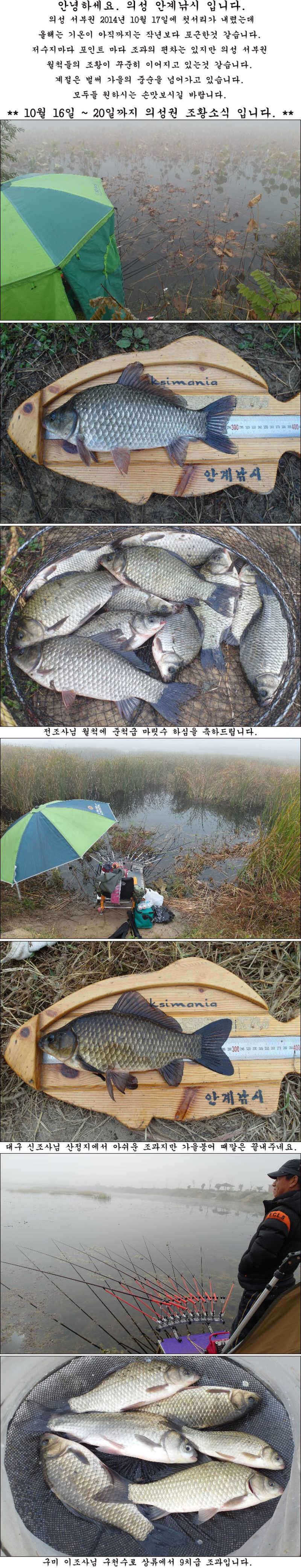 마릿수 월척들역시 가을시즌 입니다 (조황조행기 - 특파원조황)