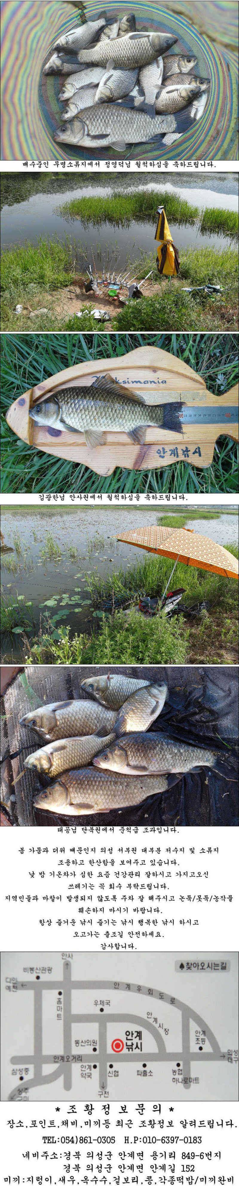 45cm 대물 흑붕어와 월척들 조황입니다 (조황조행기 - 특파원조황)