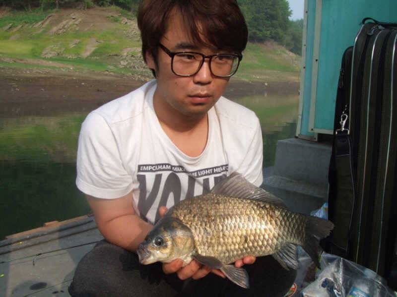 충주호 신매 늘푸른 노지 조황 (조황조행기 - 특파원조황)