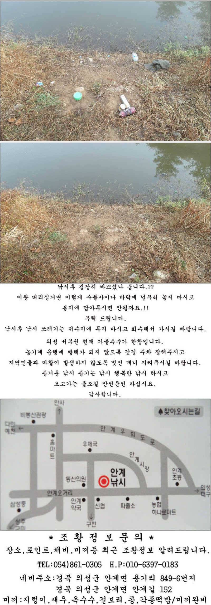 마릿수 월척들역시 가을시즌 입니다 (조황조행기 - 특파원조황)