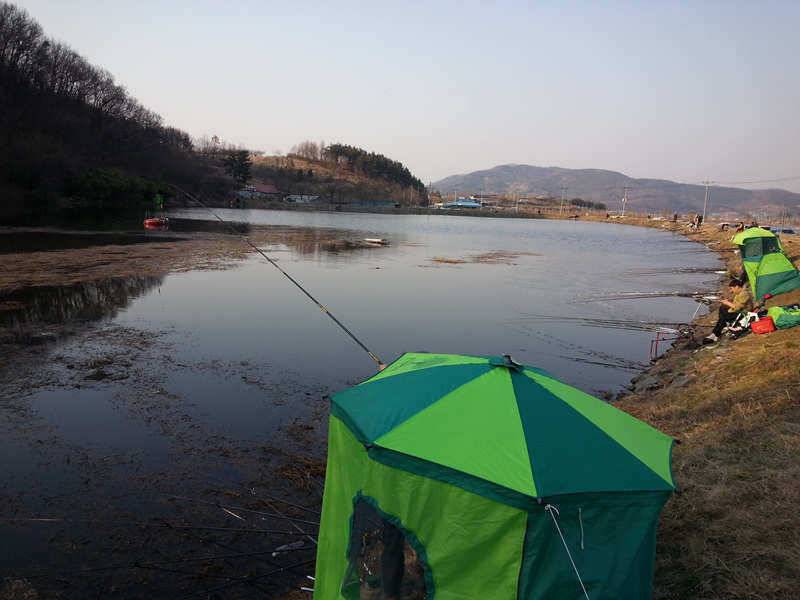 경산권 조황정보 (조황조행기 - 특파원조황)