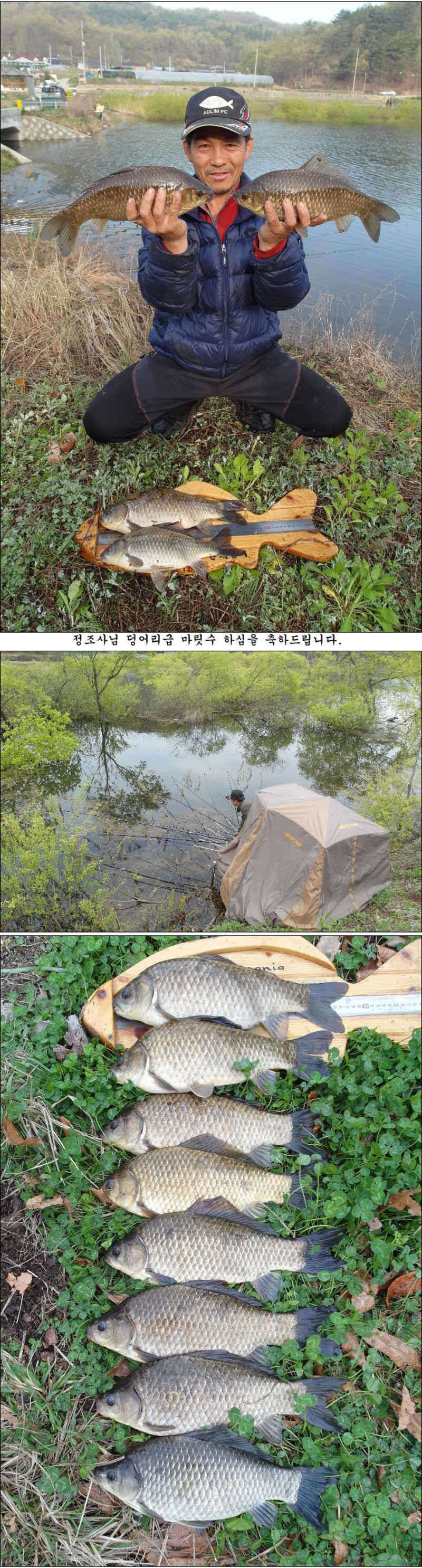 사짜 부럽지 않은 덩어리들 마릿수 조황 (조황조행기 - 특파원조황)