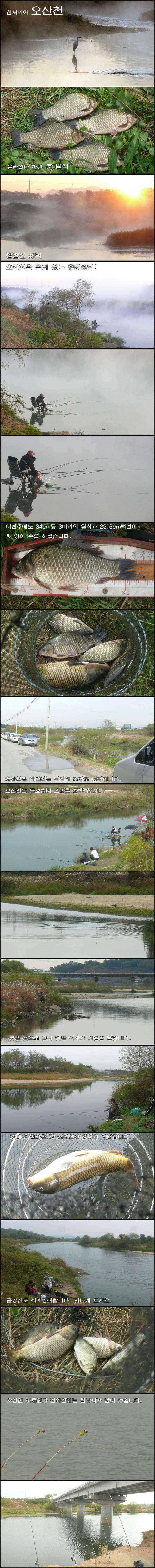 찬서리와 싸우는 새벽낚시 (조황조행기 - 특파원조황)