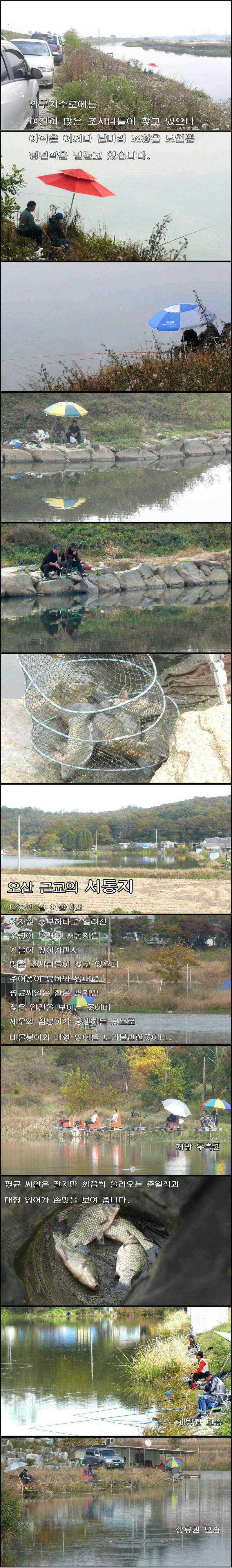 찬서리와 싸우는 새벽낚시 (조황조행기 - 특파원조황)