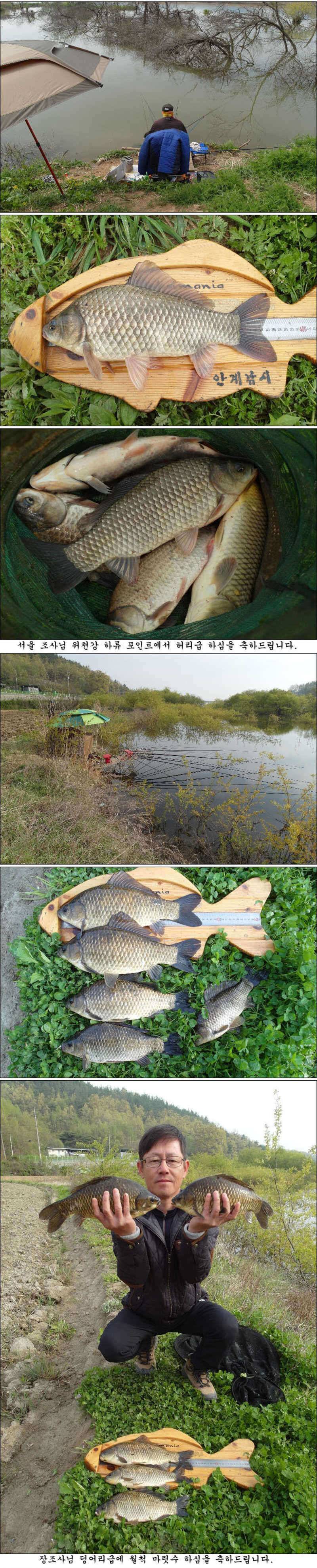 사짜 부럽지 않은 덩어리들 마릿수 조황 (조황조행기 - 특파원조황)
