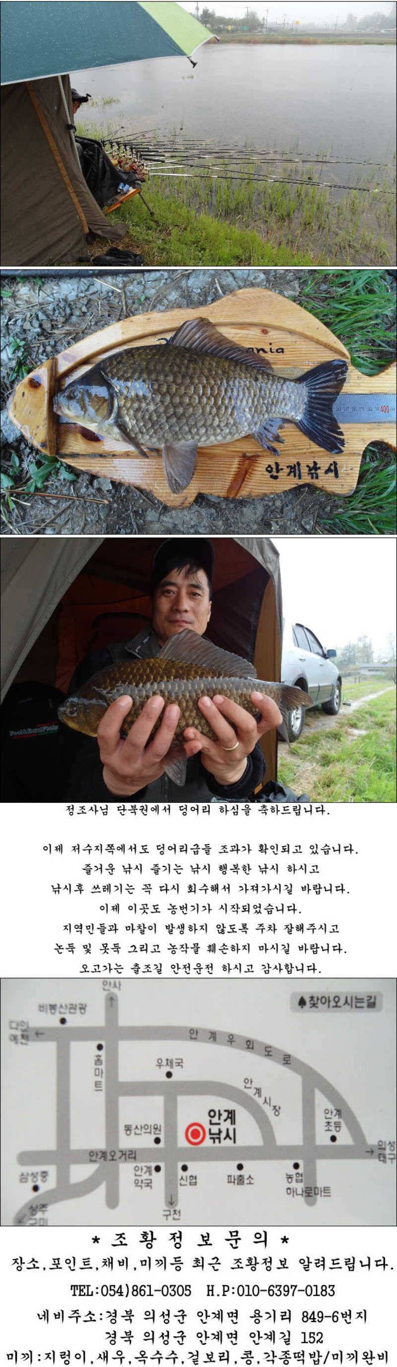 사짜 부럽지 않은 덩어리들 마릿수 조황 (조황조행기 - 특파원조황)