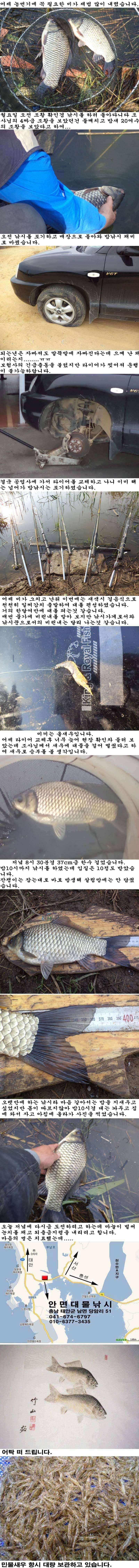 525 부남호 단비 온 뒤의 조황 (조황조행기 - 특파원조황)
