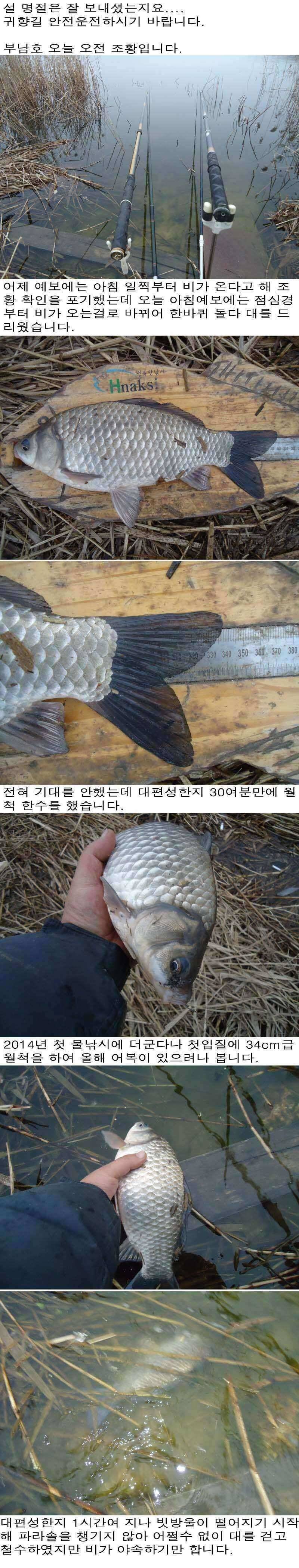 21 부남호 물낚시 조황 (조황조행기 - 특파원조황)