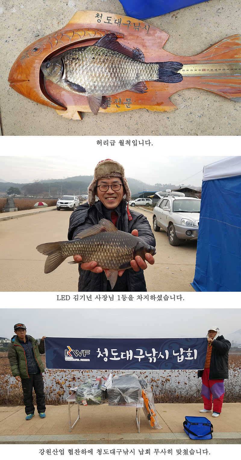 청도권 조황입니다 (조황조행기 - 특파원조황)