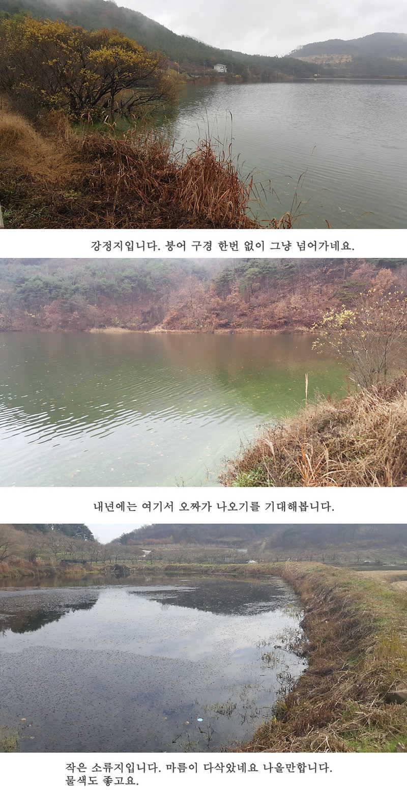 청도권 조황입니다 (조황조행기 - 특파원조황)