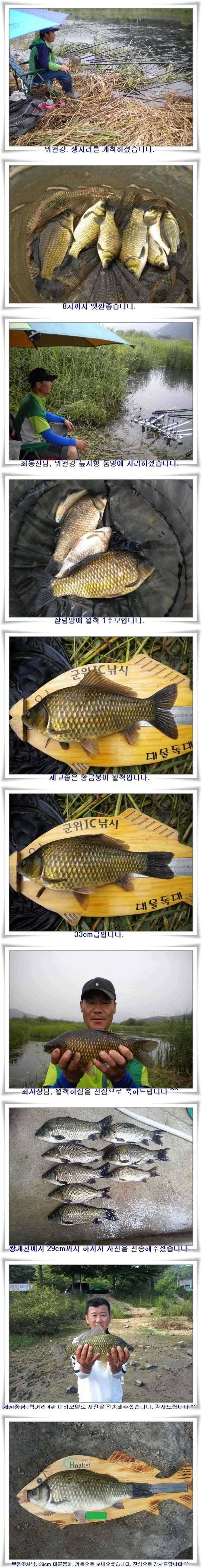 대형급의 출몰 (조황조행기 - 특파원조황)