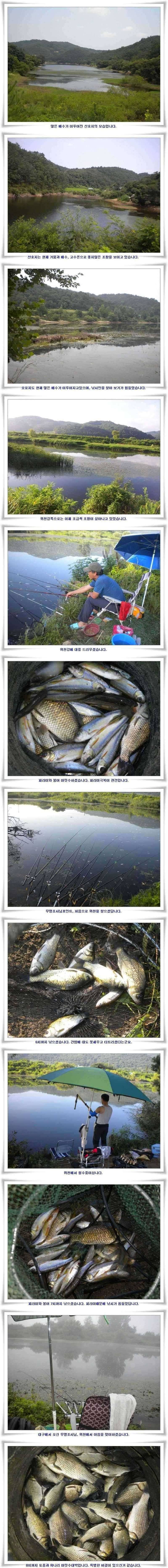 강낚시 마릿수대박 (조황조행기 - 특파원조황)