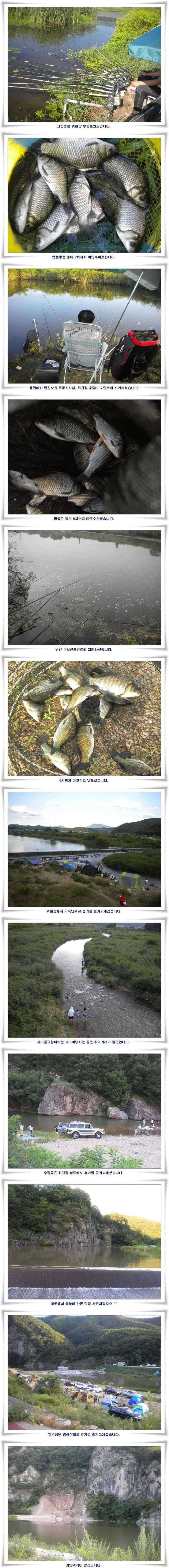 강낚시 마릿수대박 (조황조행기 - 특파원조황)