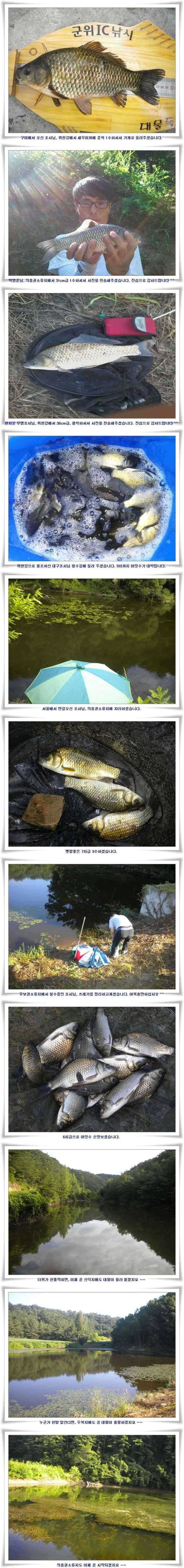 강낚시 마릿수대박 (조황조행기 - 특파원조황)