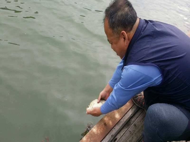 충주호 신매낚시터조황입니다 (조황조행기 - 특파원조황)