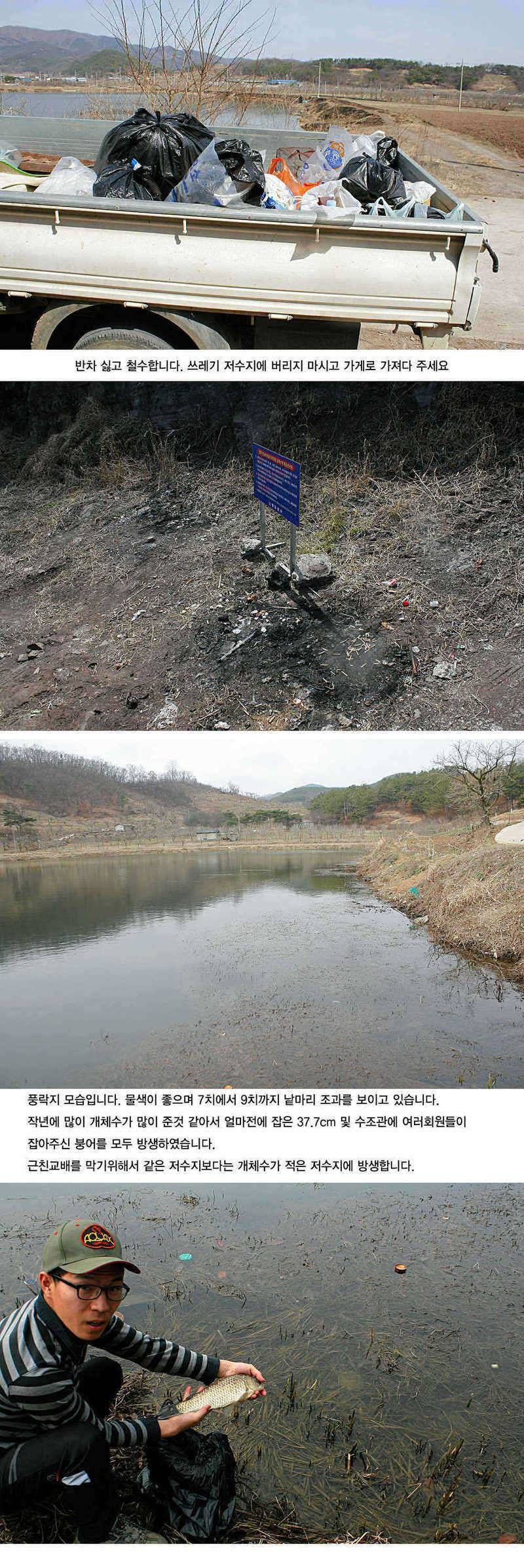 주중 청도권 조황정보 (조황조행기 - 특파원조황)