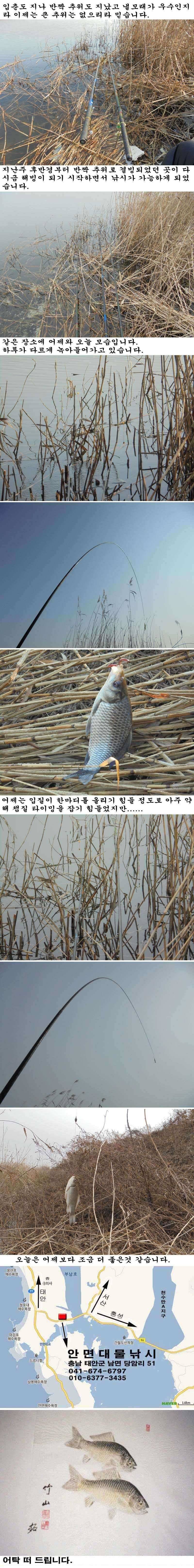 다시금 물낚시 가능해졌습니다 (조황조행기 - 특파원조황)