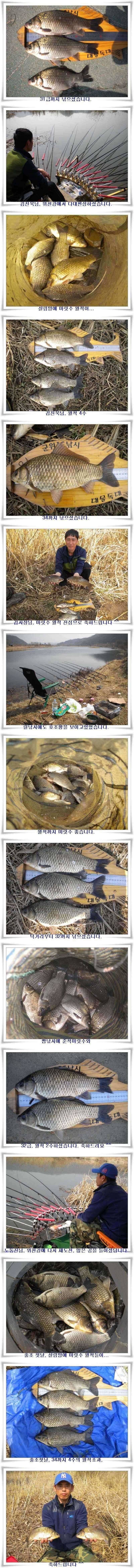 엄청난 대박조과 (조황조행기 - 특파원조황)
