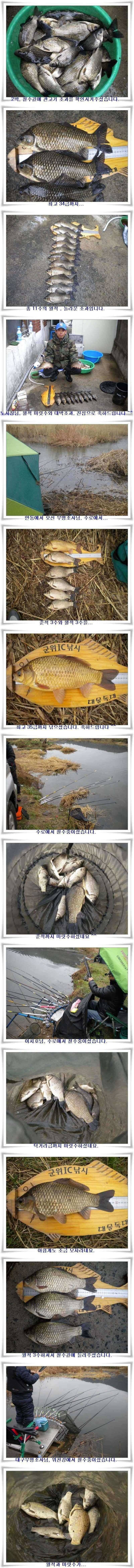 엄청난 대박조과 (조황조행기 - 특파원조황)