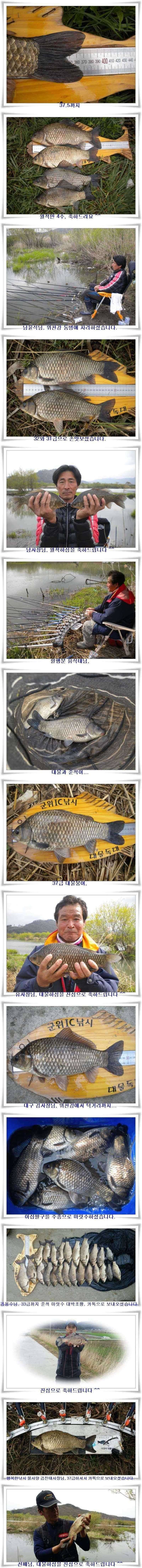 4짜3938대물마릿수와 월준척대박조황 (조황조행기 - 특파원조황)