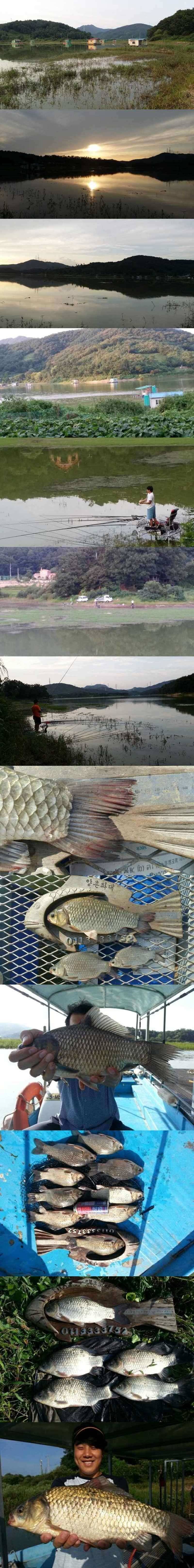 고삼지 연일 올라오는 4짜들 (조황조행기 - 특파원조황)