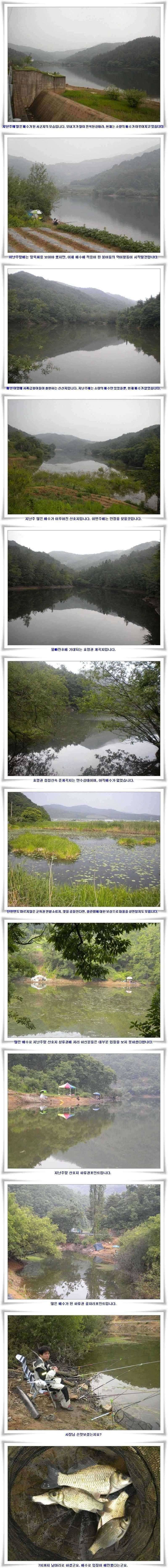 저수지상황과 위천조황 (조황조행기 - 특파원조황)