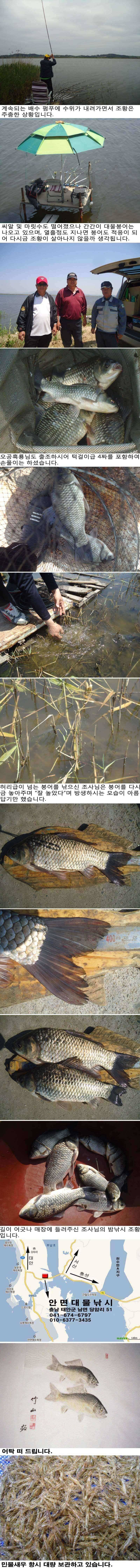 515 부남호 밤낚시 조황 (조황조행기 - 특파원조황)