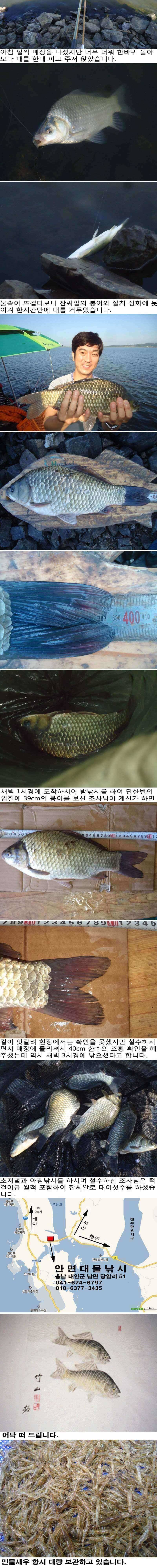 710 부남호 열대야 속에 잠 못 이룬 붕어 조황 (조황조행기 - 특파원조황)
