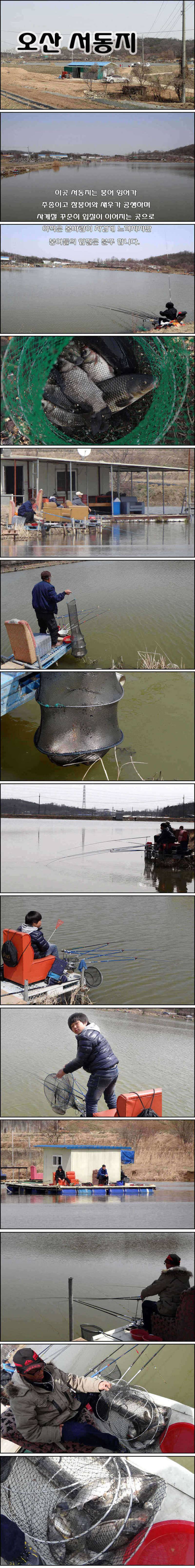 호황 보이는 오산 서동지 (조황조행기 - 특파원조황)