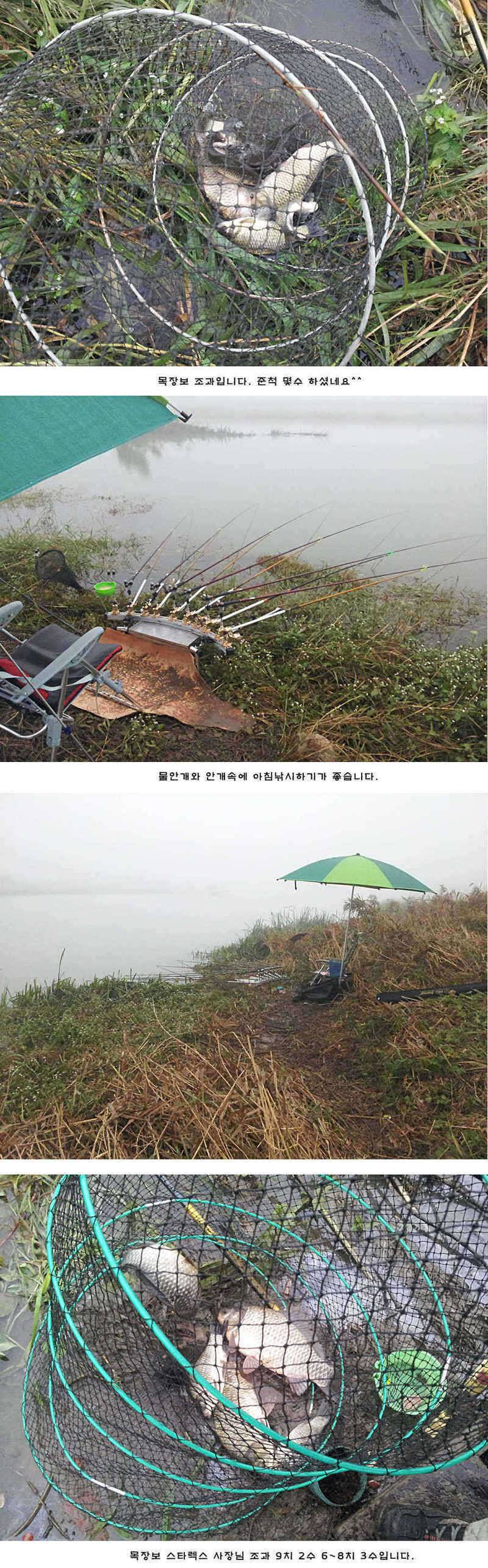 청도권 청도천 빵빵 터집니다 (조황조행기 - 특파원조황)