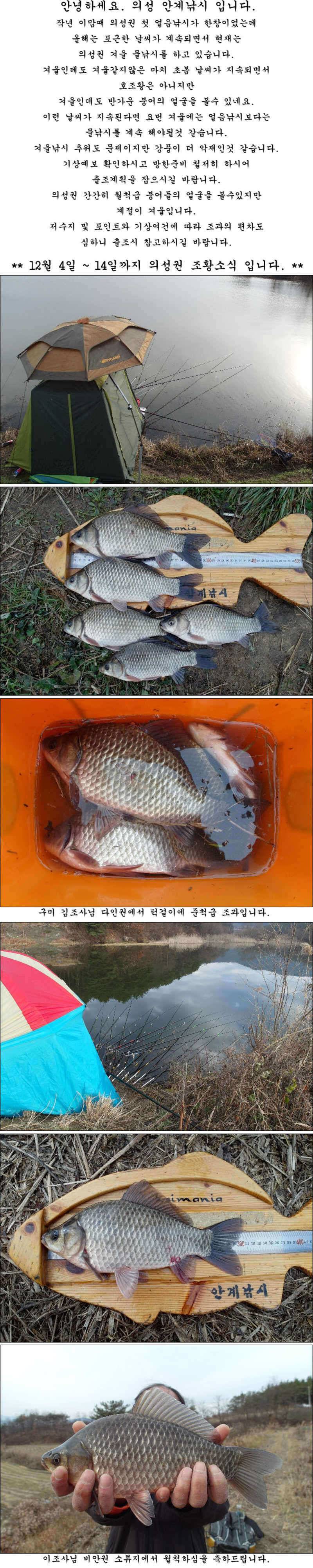 겨울 물낚시 조황소식 입니다 (조황조행기 - 특파원조황)