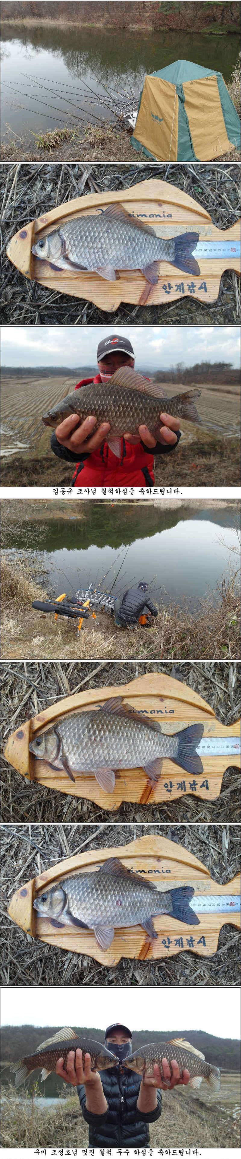 겨울 물낚시 조황소식 입니다 (조황조행기 - 특파원조황)